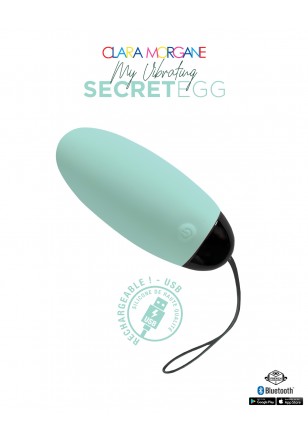 My Vibrating  Secret oeuf vibrant  USB connecté bluetooth Télécommande turquoise