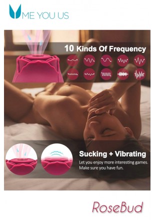 Bouton de Rose stimulateur clitoris succion vibration USB
