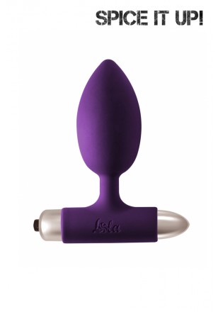 Perfection Plug vibrant Violet forme large progressive et bullet Piles