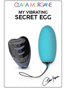 My Vibrating Secret Oeuf Vibrant USB rechargeable et télécommande à pile- Bleu