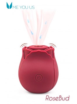 Bouton de Rose stimulateur clitoris succio vibration USB