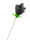 Une rose slip noir