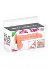 REAL TONY Gode ventouse chair Real Body