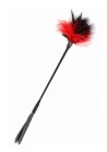 Cravache Plume double jeu