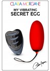 My Vibrating Secret Oeuf Vibrant USB rechargeable et télécommande à pile- Rouge
