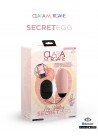 My Vibrating  Secret oeuf vibrant  USB connecté Bluetooth Télécommande rose